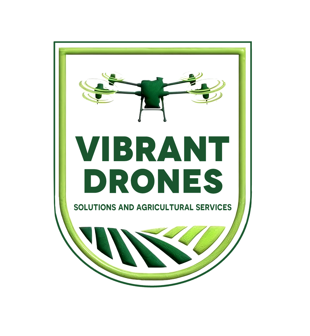 vibrant drones logo